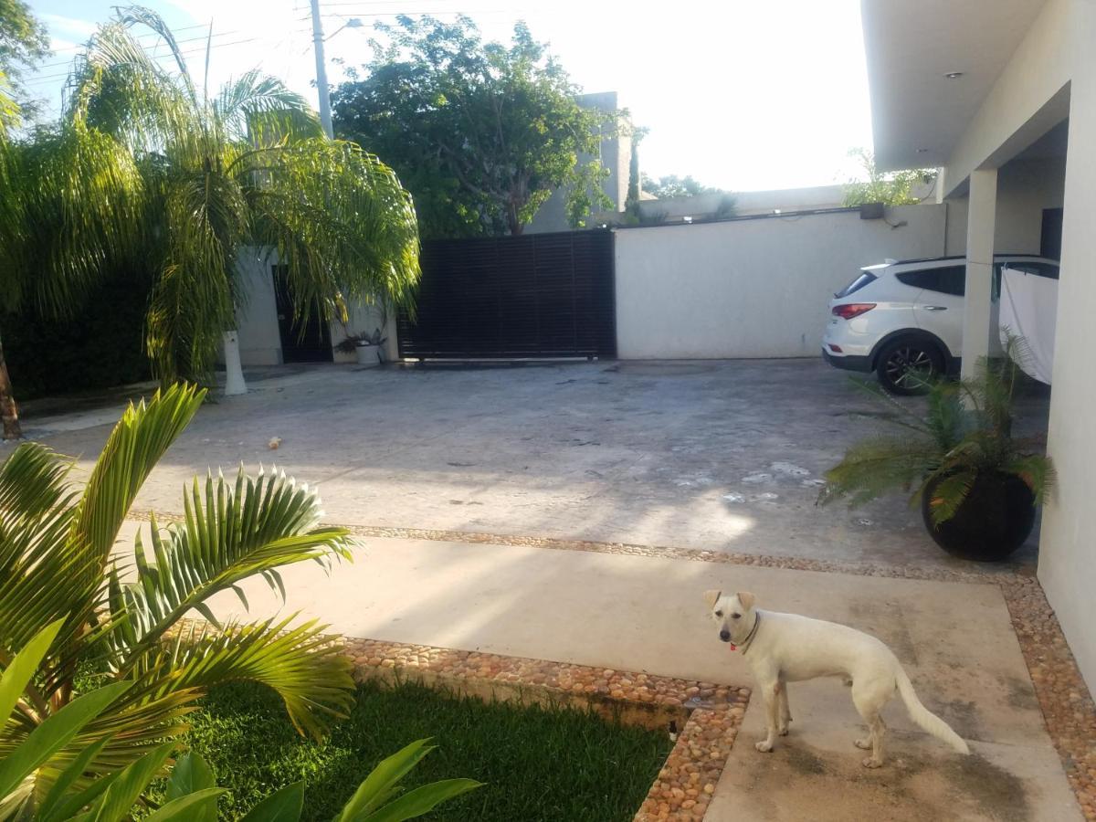 Casa Xcanatun Mérida Exteriér fotografie